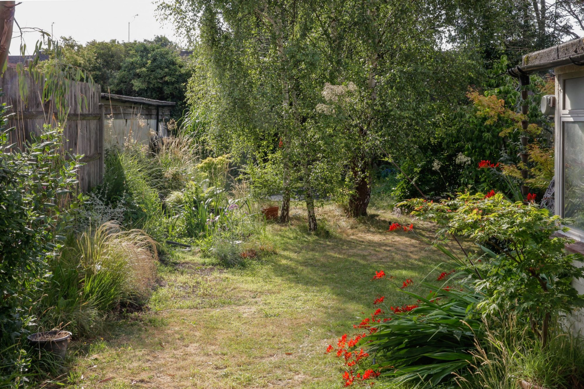 Part view of a garden with trees, shrubs, plants.