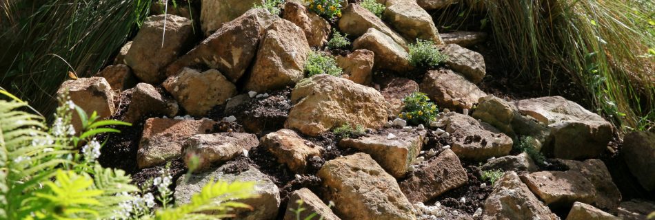 Newly built rockery with pale coloured rocks and planted with creeping thyme.